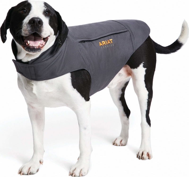 Ariat Duracanvas Insulated Dog Jacket - Rebar Grey
