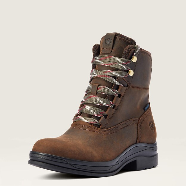 Ariat Women's HARPER 6