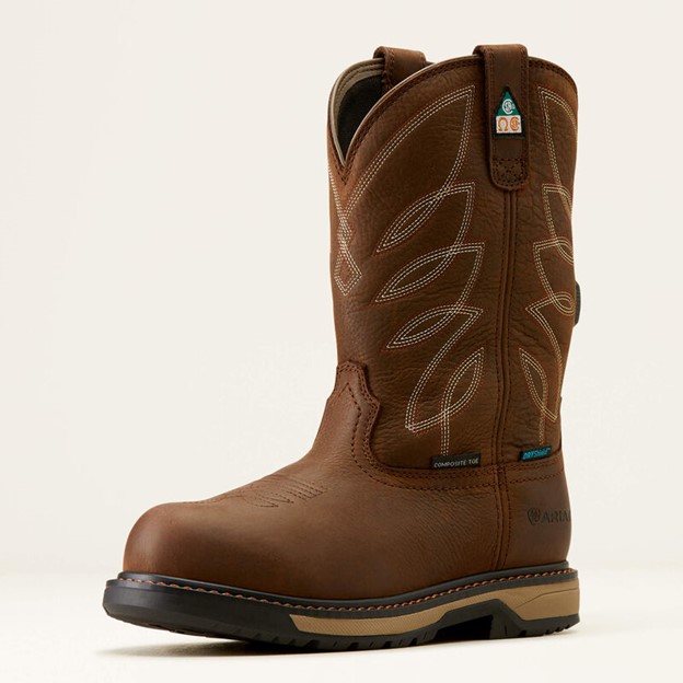 Ariat Women's RIVETER 10