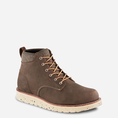 Irish Setter FIFTY 6