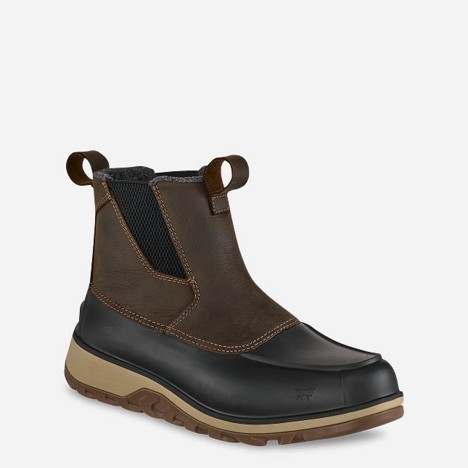 Irish Setter Unisex NORTHSHORE 7