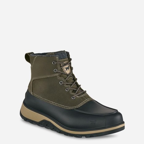 Irish Setter Unisex NORTHSHORE 7