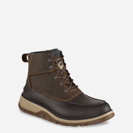 Irish Setter Unisex NORTHSHORE 7
