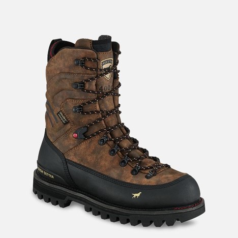 Irish Setter ELK TRACKER XD 10