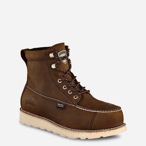 Irish Setter  WINGSHOOTER 6