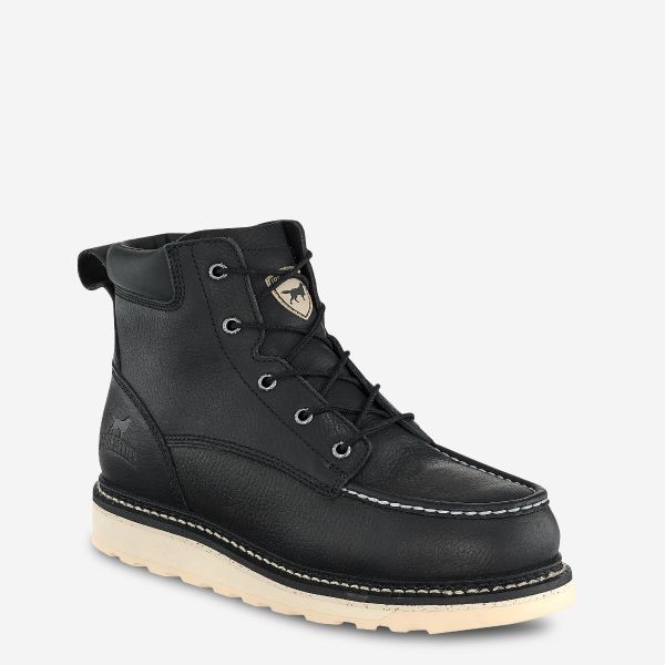 Irish Setter ASHBY 6