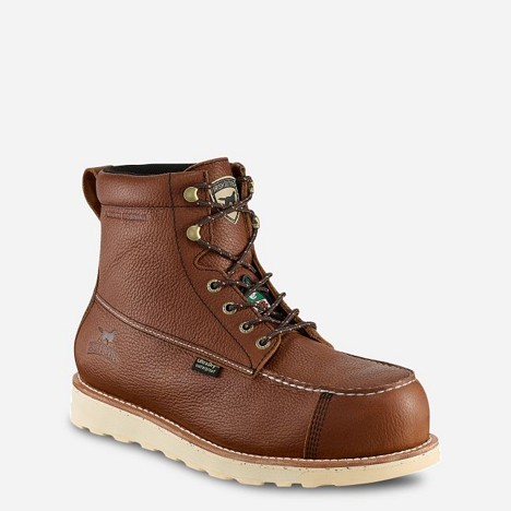 Irish Setter WINGSHOOTER 6