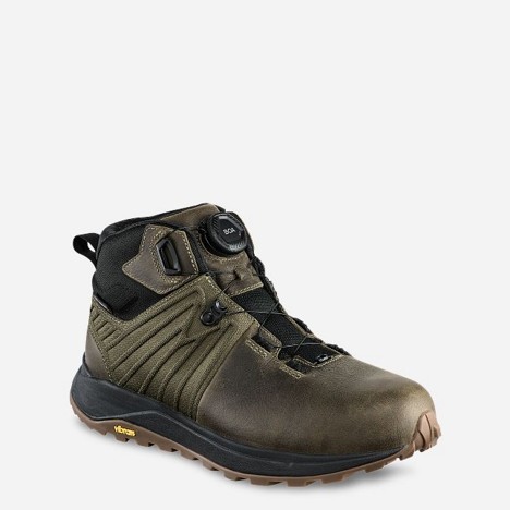 Irish Setter CASCADE 5