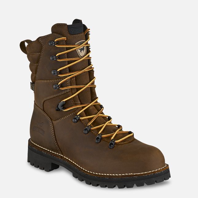 Irish Setter SHOREWOOD 9