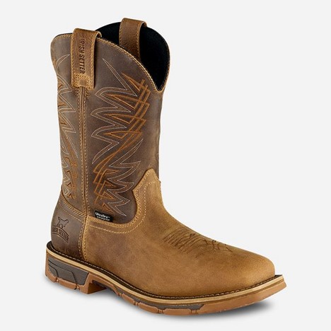 Irish Setter MARSHALL 11