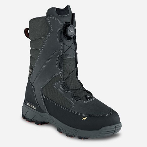 Irish Setter ICETREK 12
