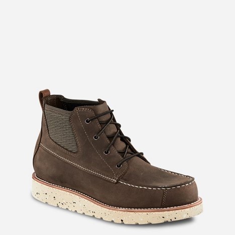 Irish Setter FIFTY 6